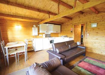 Kingfisher sleeps 4