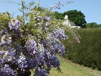 Wisteria Cottage is located in St Austell