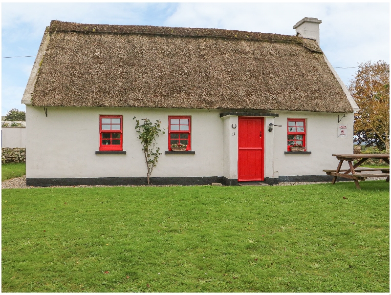 No. 11 Tipperary Thatched Cottage