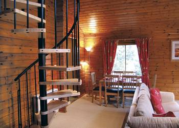 Conifer-Lodges