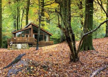 Forest-of-Dean-Lodges