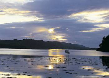 Innes-Maree