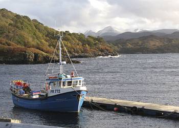 Innes-Maree