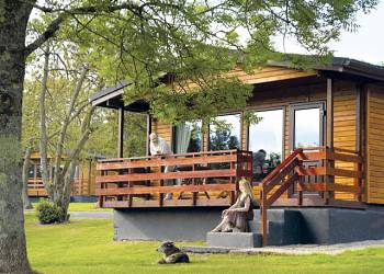 Conifer-Lodges