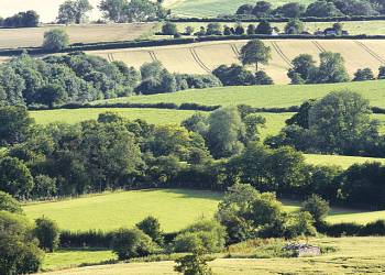 Wigley-Orchard