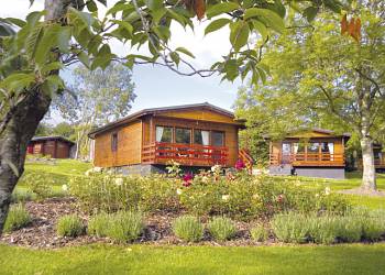 Conifer-Lodges