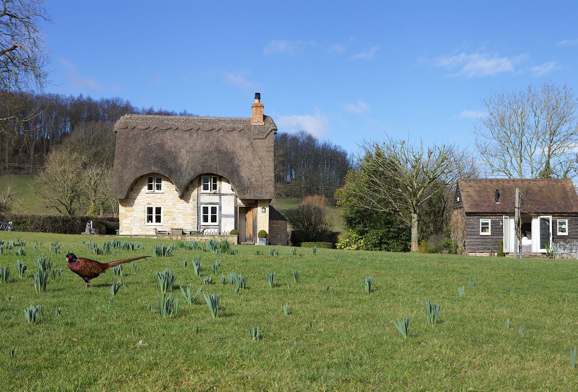 Click here for more about Field Cottage