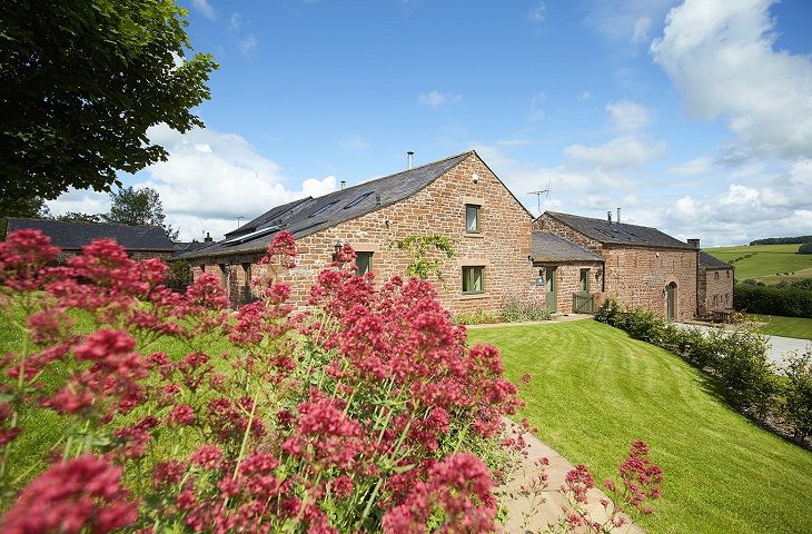 Details about a cottage Holiday at Jenny's Croft