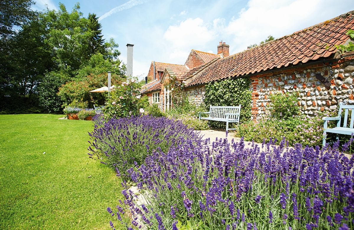 Pear Tree Cottage a holiday cottage rental for 4 in Wickmere, 