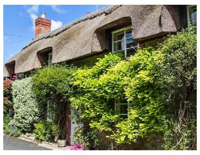 Little Thatch a holiday cottage rental for 3 in Cerne Abbas, 