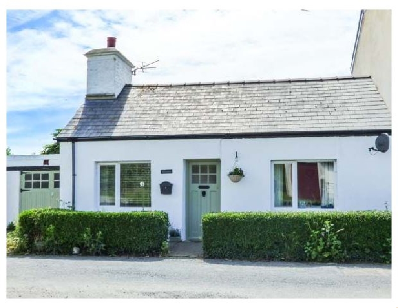 Pantgwyn a holiday cottage rental for 5 in Llanon, 
