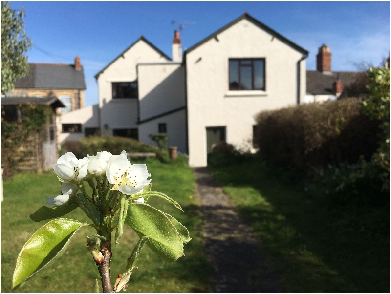 Greengates a holiday cottage rental for 6 in Watchet, 