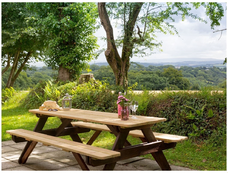 Dartmoor View a holiday cottage rental for 9 in Gunnislake, 