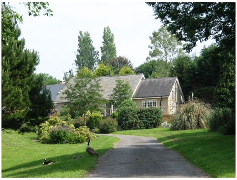 Blackberry Lodge a holiday cottage rental for 4 in Ashburton, 