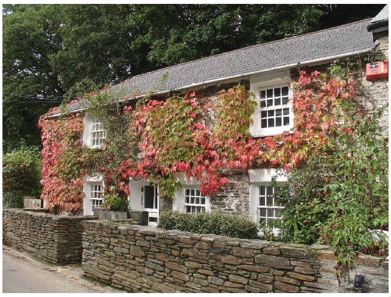 Willow View a holiday cottage rental for 6 in Wadebridge, 