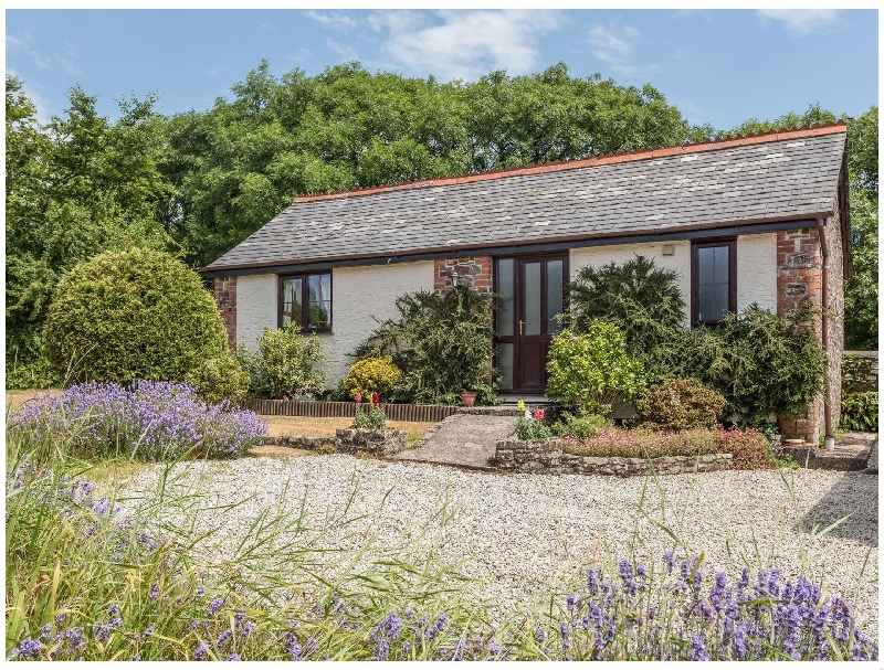 Wagtail a holiday cottage rental for 2 in Bradworthy, 