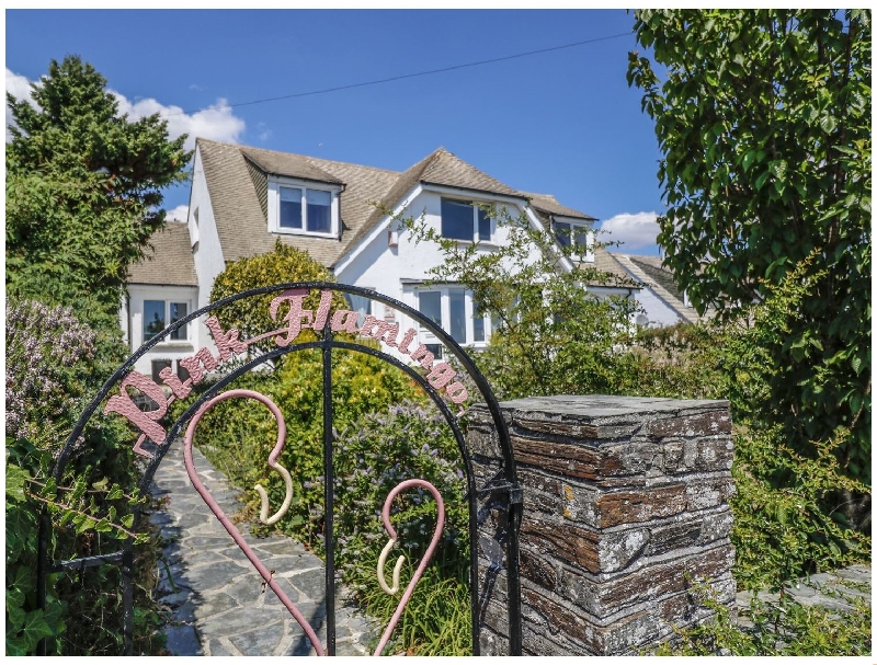 Pink Flamingo a holiday cottage rental for 8 in Looe, 
