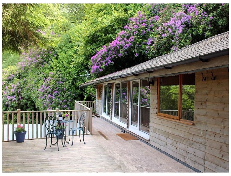 Treetops a holiday cottage rental for 2 in Woody Bay, 