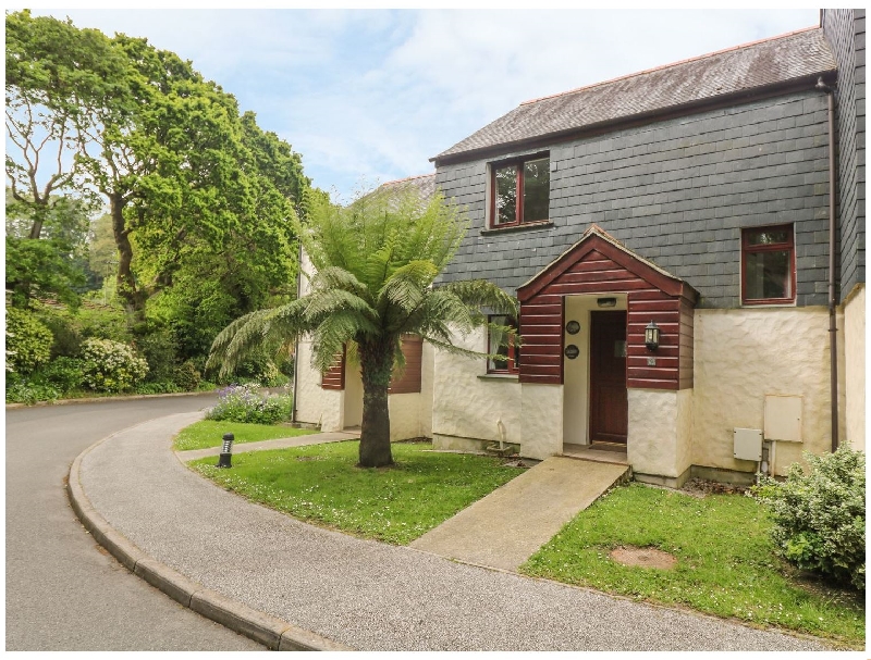 Cuckoo's Cottage a holiday cottage rental for 6 in Falmouth, 