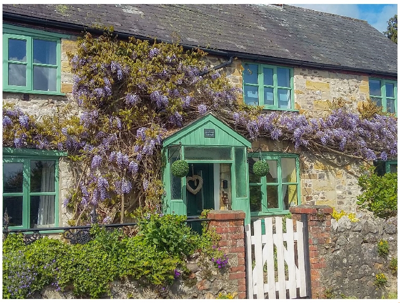2 Wisteria Cottages a holiday cottage rental for 5 in Tatworth, 