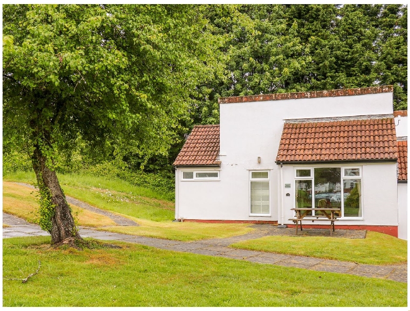 Boo's Bungalow a holiday cottage rental for 6 in Callington, 