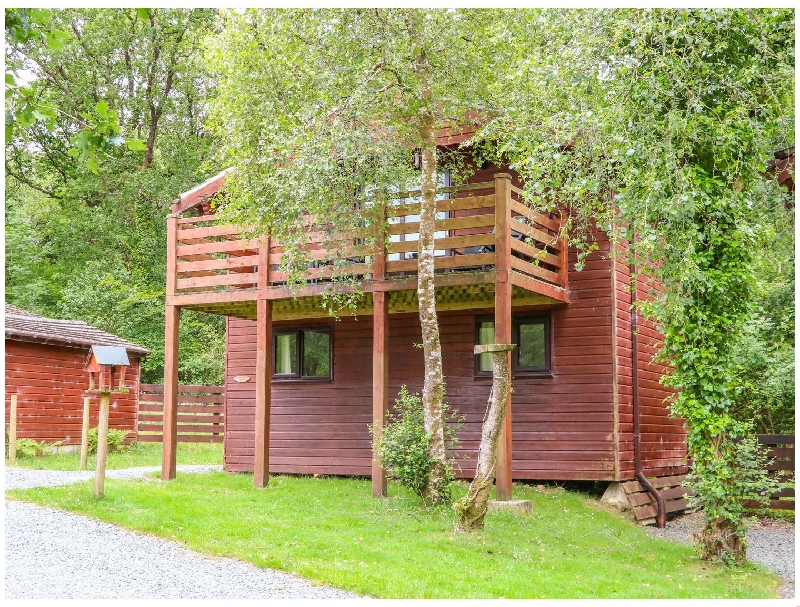 Beech Tree @ Kingslakes a holiday cottage rental for 5 in Highampton, 
