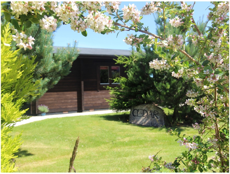 Cedar Lodge a holiday cottage rental for 4 in Lanivet, 