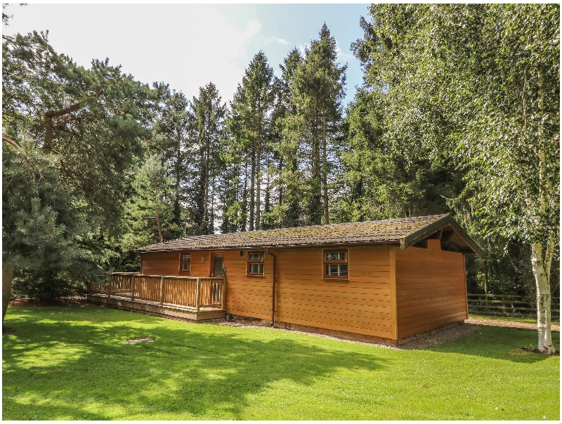 Details about a cottage Holiday at Pine Lodge