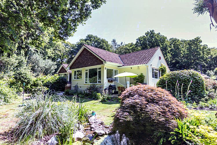 Details about a cottage Holiday at Treeside